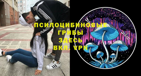 крисы Абдулино