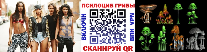 мега онион Райчихинск Псилоцибиновые грибы Magic Shrooms